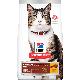 Image for SD Feline